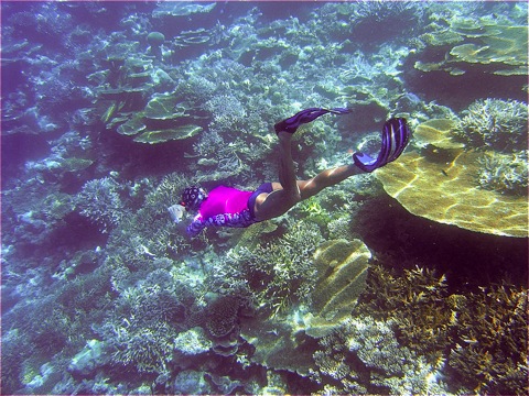 Freediving Kandholhudhoo, Maldives