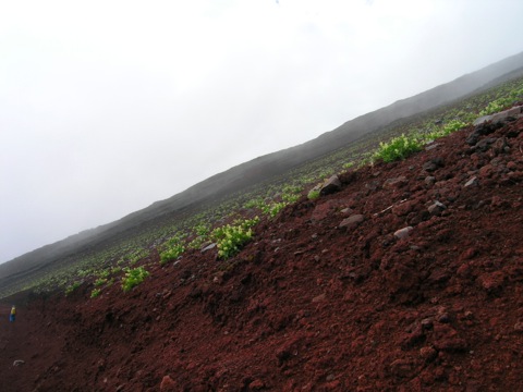 Mount Fuji Descent